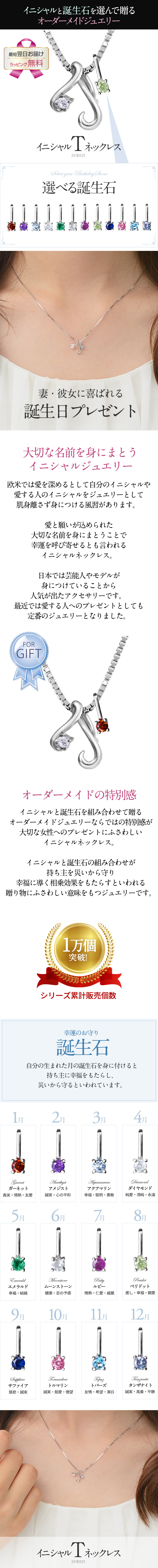 選べる誕生石チャーム★イニシャル【T】ネックレス シルバー