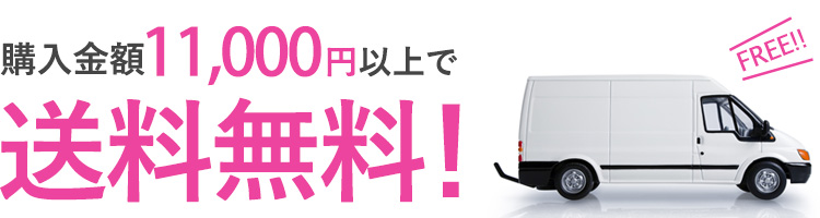 税込11,000円以上の商品は送料無料!