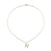 スワロフスキー★イニシャル【H】アミュレット ネックレス
