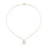 スワロフスキー★イニシャル【S】アミュレット ネックレス