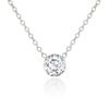 【金属アレルギー対応】1カラットCzネックレス（SV）
